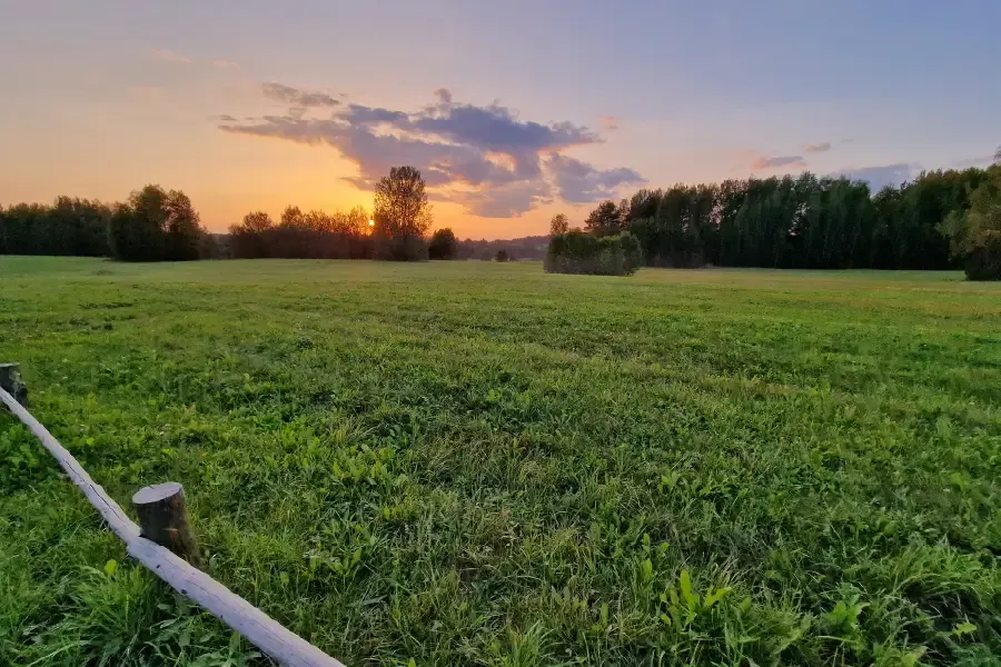 Пушкин и село Михайловское