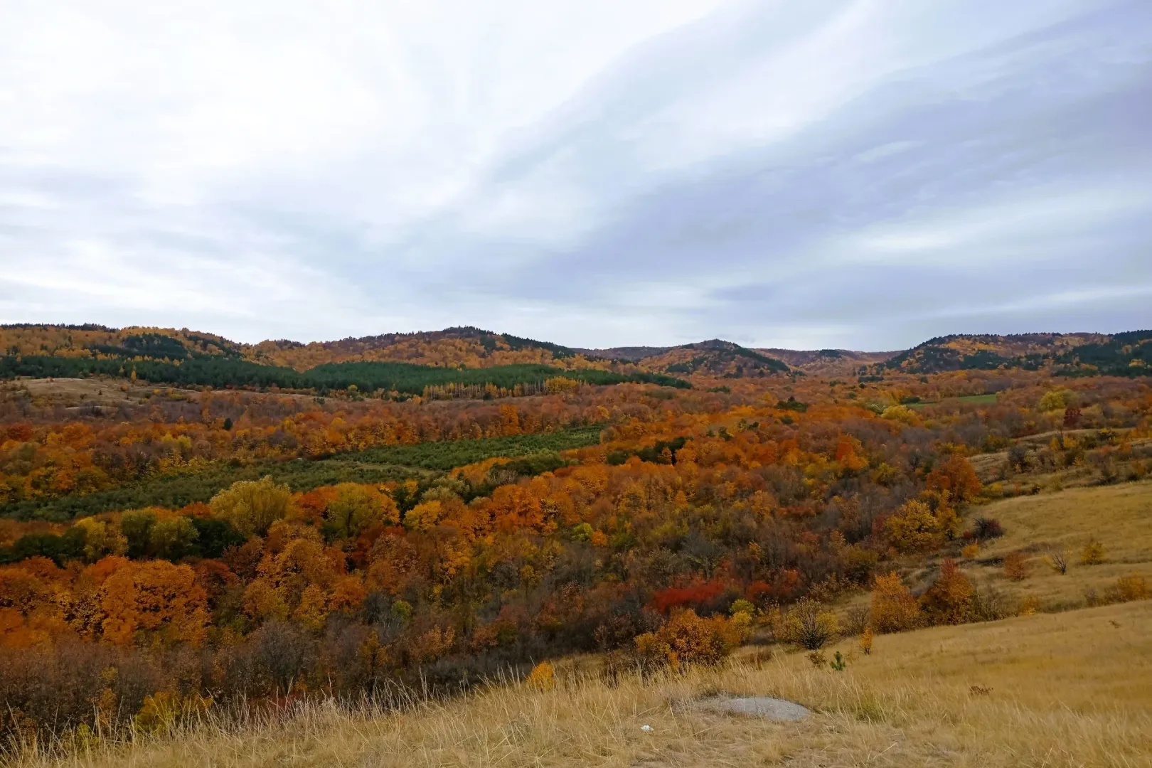 Открываем новый город — Хвалынск